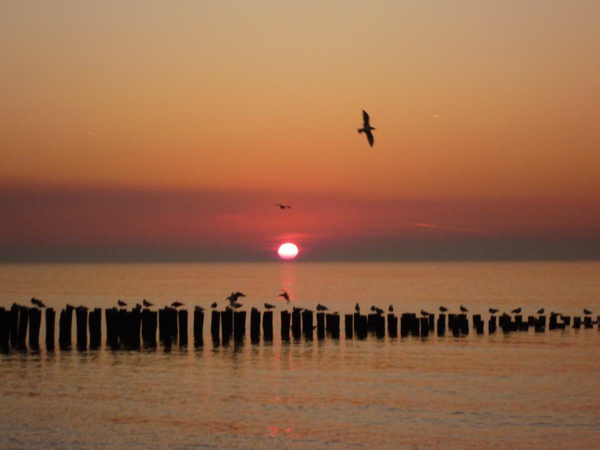 Knusse Vakantiewoning Domburg Do04 ภายนอก รูปภาพ